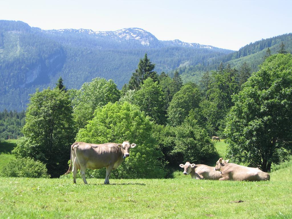 Bauernhof Haim-Schnepfleitner Pichl bei Aussee Dış mekan fotoğraf