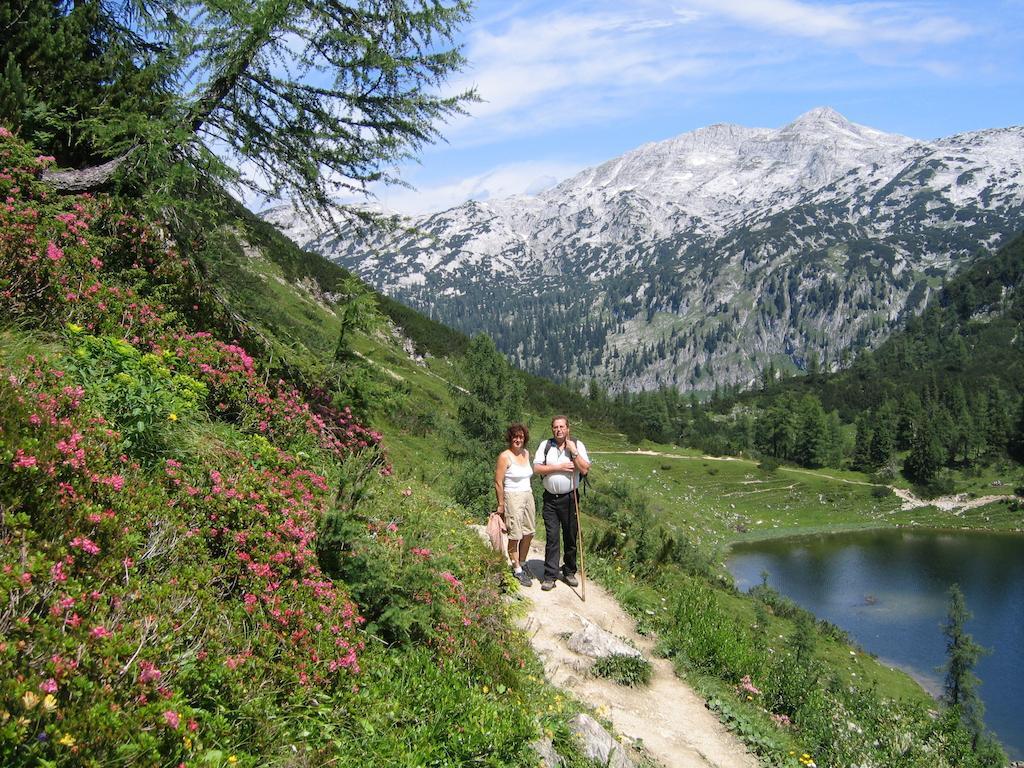 Bauernhof Haim-Schnepfleitner Pichl bei Aussee Dış mekan fotoğraf