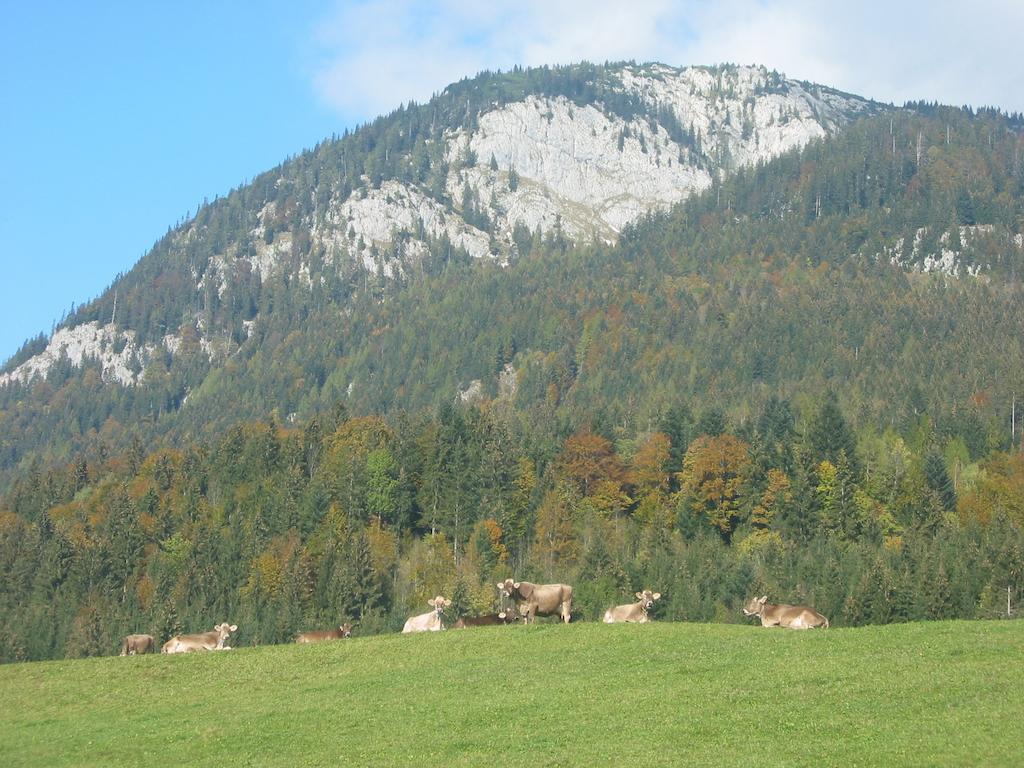 Bauernhof Haim-Schnepfleitner Pichl bei Aussee Dış mekan fotoğraf